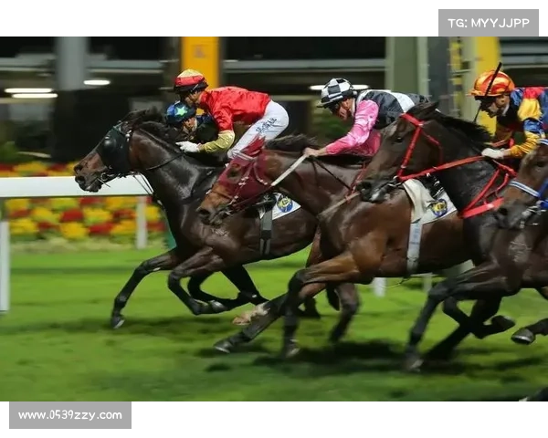 日本跑马赛事2019 日本跑马比赛