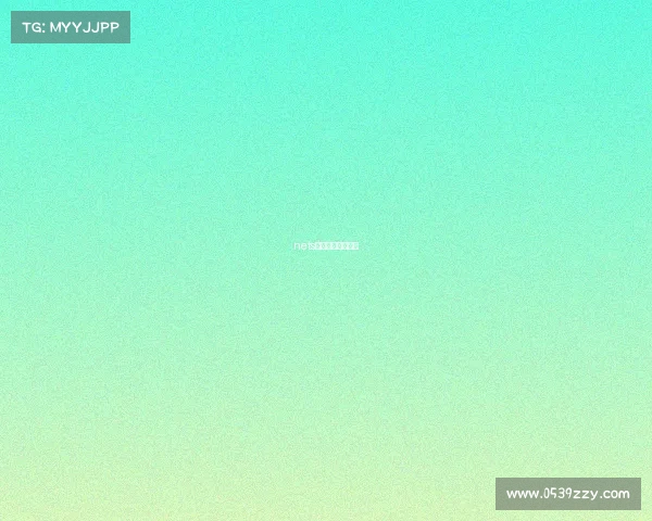 nets全国电子竞技大赛